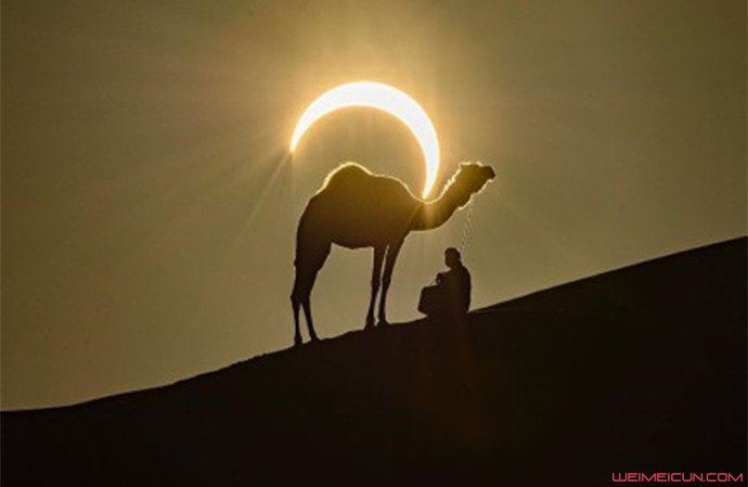 骆驼背上的太阳 自然与人文的完美结合