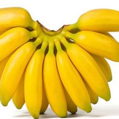 皇帝蕉和香蕉的区别 小米蕉和皇帝蕉的区别