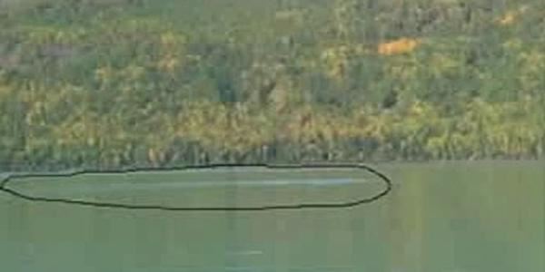 喀纳斯湖水怪到底是啥 最新喀纳斯湖水怪真相
