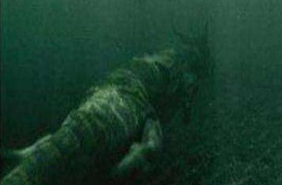 青海湖海底惊现12米巨型真龙 真龙图片曝光震惊众人