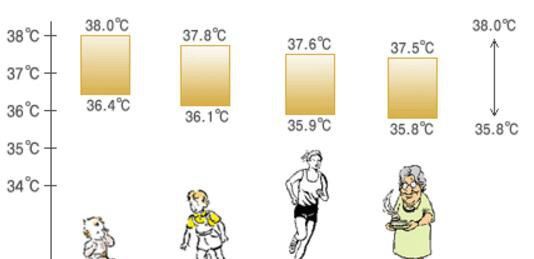 正常人一天体温曲线图 人体24小时体温变化图(不超过37.4)