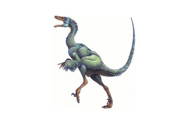 史前小型恐龙:龙盗龙 2014年才首次发现身长仅2米