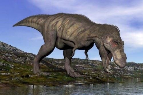 世界上最古老蛋 2.8亿年前的史前恐龙蛋史前恐龙