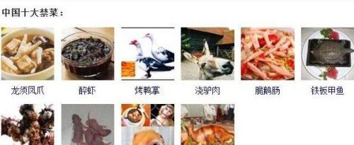 中国十大禁菜名单 人类舌尖上的罪孽(超残忍)