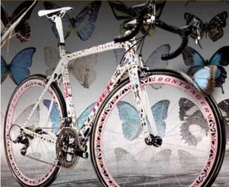 全球最贵自行车 蝴蝶Trek Madone自行车(成交价50万美元)