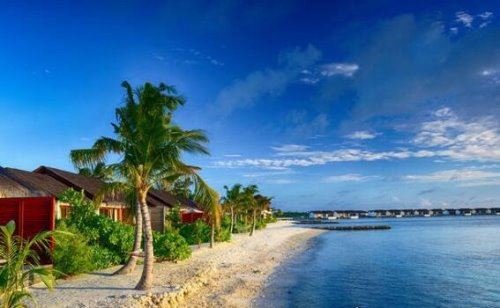 马尔代夫属于哪个国家 它是世界上最大的珊瑚岛国(亚洲最小国)