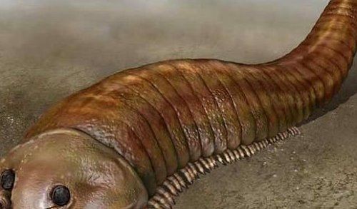 寒武纪十大恐怖生物：奇虾成地球霸主 恐龙是它晚辈