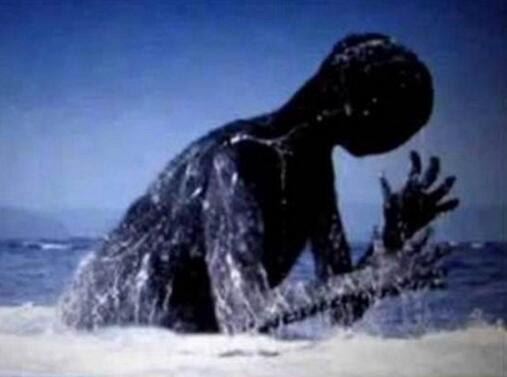 南极未知生物ningen 疑似日本人造人(高达30米)