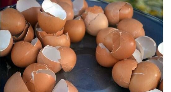鸡蛋壳属于什么垃圾 属于湿垃圾类(是典型厨余垃圾)