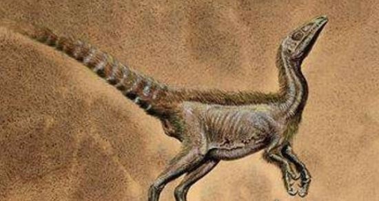 世界上最弱的十大恐龙 第一名仅有几十厘米（战斗力弱）