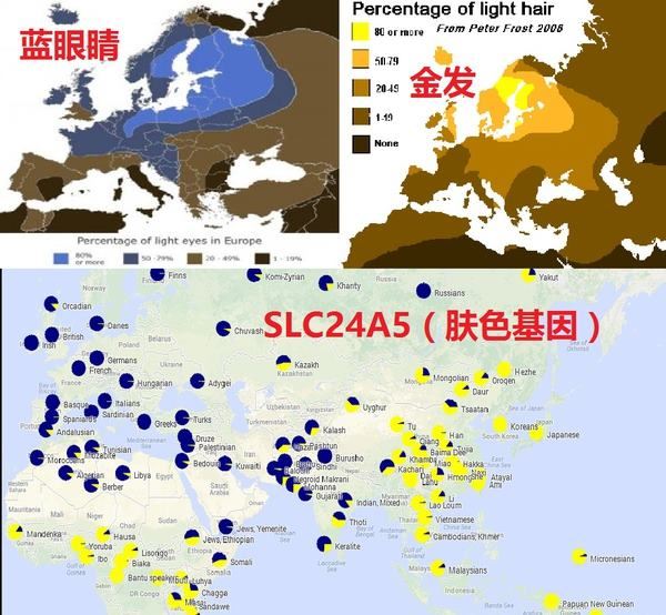 欧洲人种分布图 欧洲人种之间关系解谜