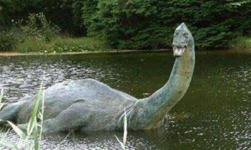 世界上唯一一只恐龙 魔克拉姆边贝 竟然被人吃掉了