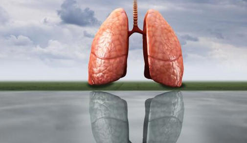 肺炭疽属于哪类传染病