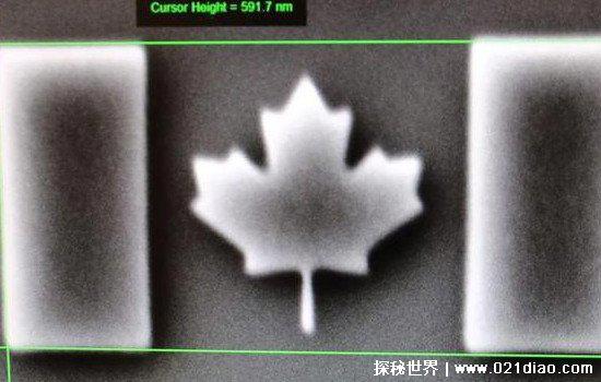 世界上最短的国旗，加拿大国旗(需要用显微镜才能看到)