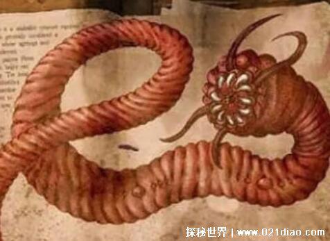 死亡之虫真实存在吗，蒙古沙漠的巨型毒虫(只是传言)