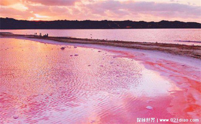 世界上最浪漫的湖泊 塞内加尔的玫瑰湖(粉红色湖面)