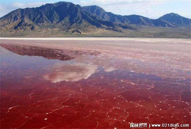 伊拉克血湖是怎么形成的，受到污染所导致(并非红色)