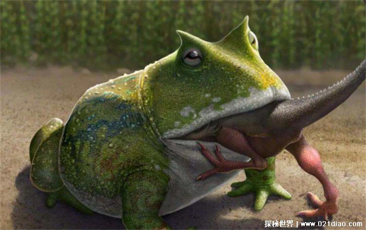 魔鬼蛙生活在多少万年前?(魔鬼蛙生活在7000万年前)