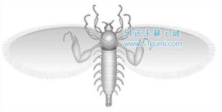 恐怖虫:很丑很温柔的生物 被证实是1.65亿年前的蚊子