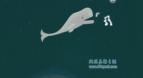 世界上最孤独的鲸鱼 “52赫兹“也许并不孤独