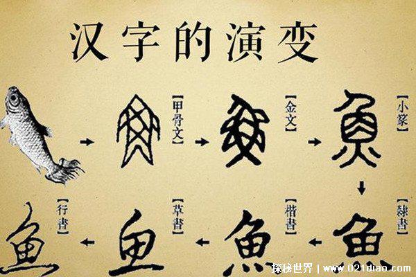 汉字演变过程时间排序正确的是什么，最早是甲骨文最后是行书