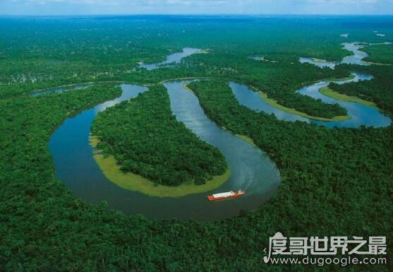 世界六大森林，亚马逊热带雨林乃是地球的绿色心肺
