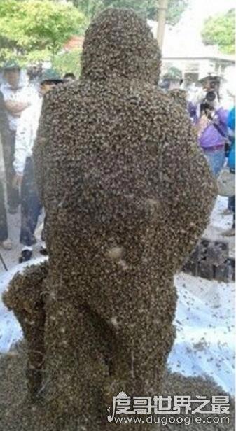 中国泰山蜂王，高丙国(被109万只蜜蜂蛰身破吉尼斯世界纪录)