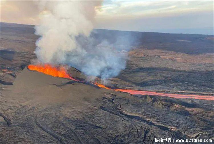 世界上最大的活火山，冒纳罗亚火山喷发(美国夏威夷)