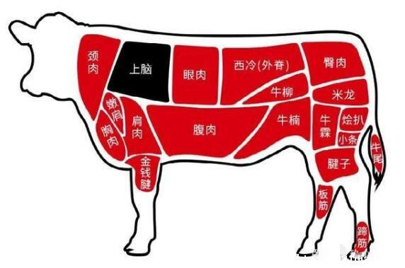 牛上脑是哪个部位，牛后颈部位的肉(附牛各部位肉图解)