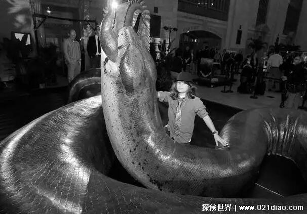 水蛇最大有多大，亚马逊森蚺长达9米(目前已知的最大水蛇类)