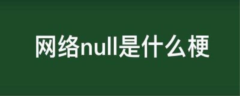 null是什么意思梗