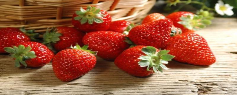 草莓是热性还是凉性 草莓什么季节成熟