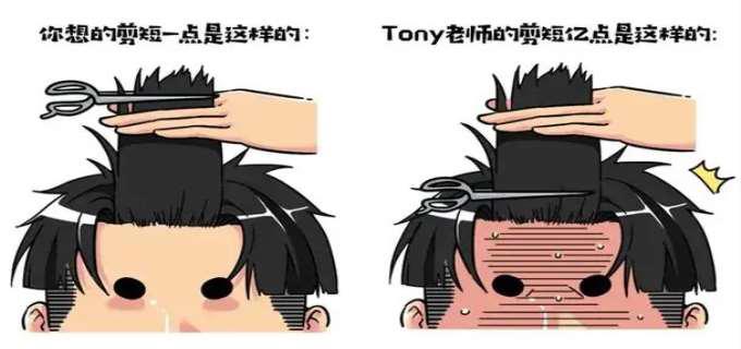 托尼老师是什么梗