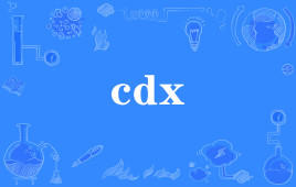 网络上的“cdx”是什么意思？