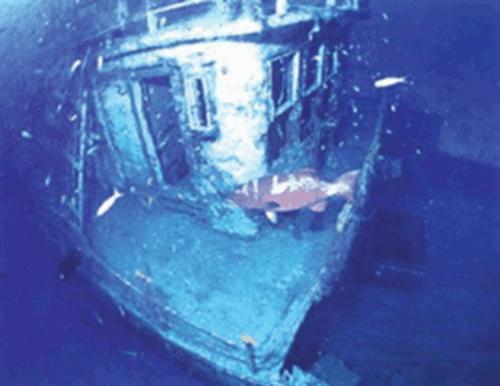 303幽灵潜艇事件真相揭秘