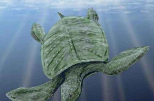 地球史上最大的海龟