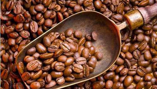 世界上最贵的咖啡豆多少钱