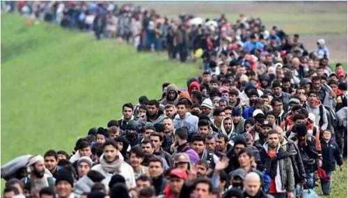 世界难民数量最高纪录