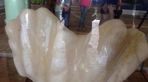 世界上最大的珍珠重达68斤