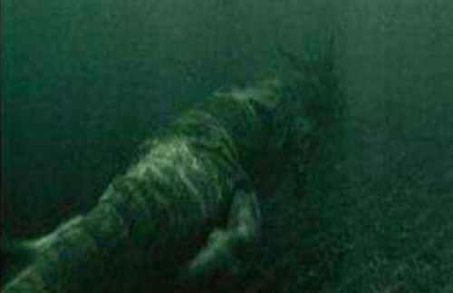 青海湖海底惊现12米巨型真龙