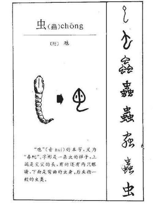 汉语中带虫字旁的字词 虫字旁的字有哪些