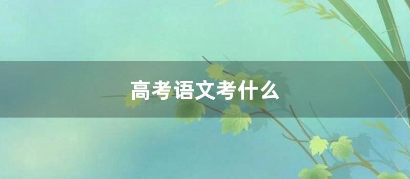 高考语文考什么 (高职高考语文考什么)