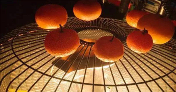 土方子烤橘子有治咳嗽的功效和作用是真的吗(听专家怎么说)