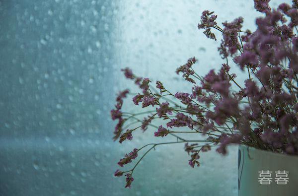 雨天唯美朋友圈句子 下雨了是因为云哭了