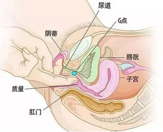 扣自己的正确手势图，二指探洞应该怎么抠