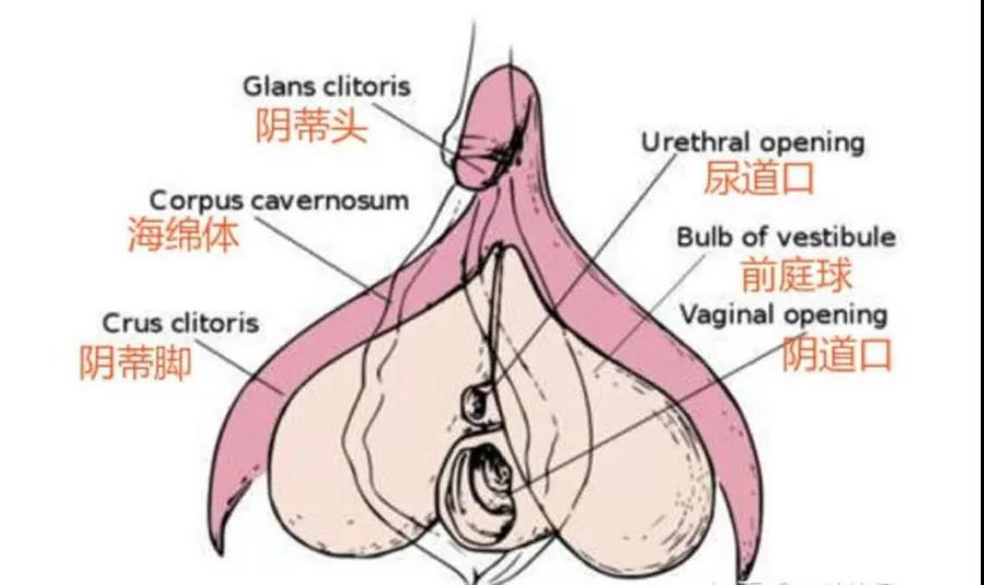 怎么让自己快速有水20种方法