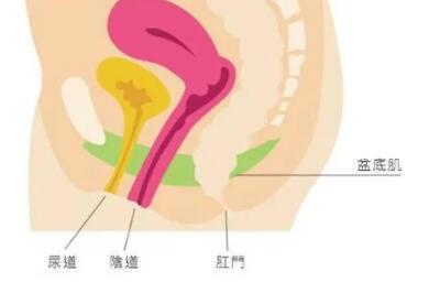 为什么做的时候想小便