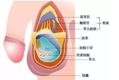 拥抱时感受他有反应了，男生为啥抱抱就有反应