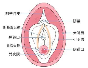 怎么样看自己破没破？用手是不是也属于第一次没了