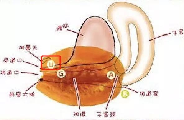 多重高潮到底是一种怎样的体验